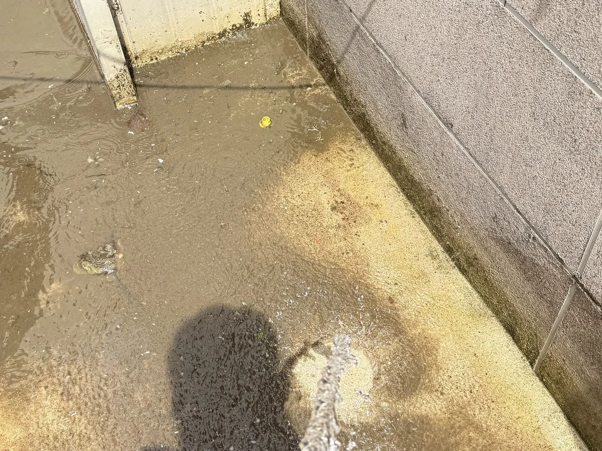 영양군 청기면 배관 관리실·기계실 위생청소 사례 - 행진크린